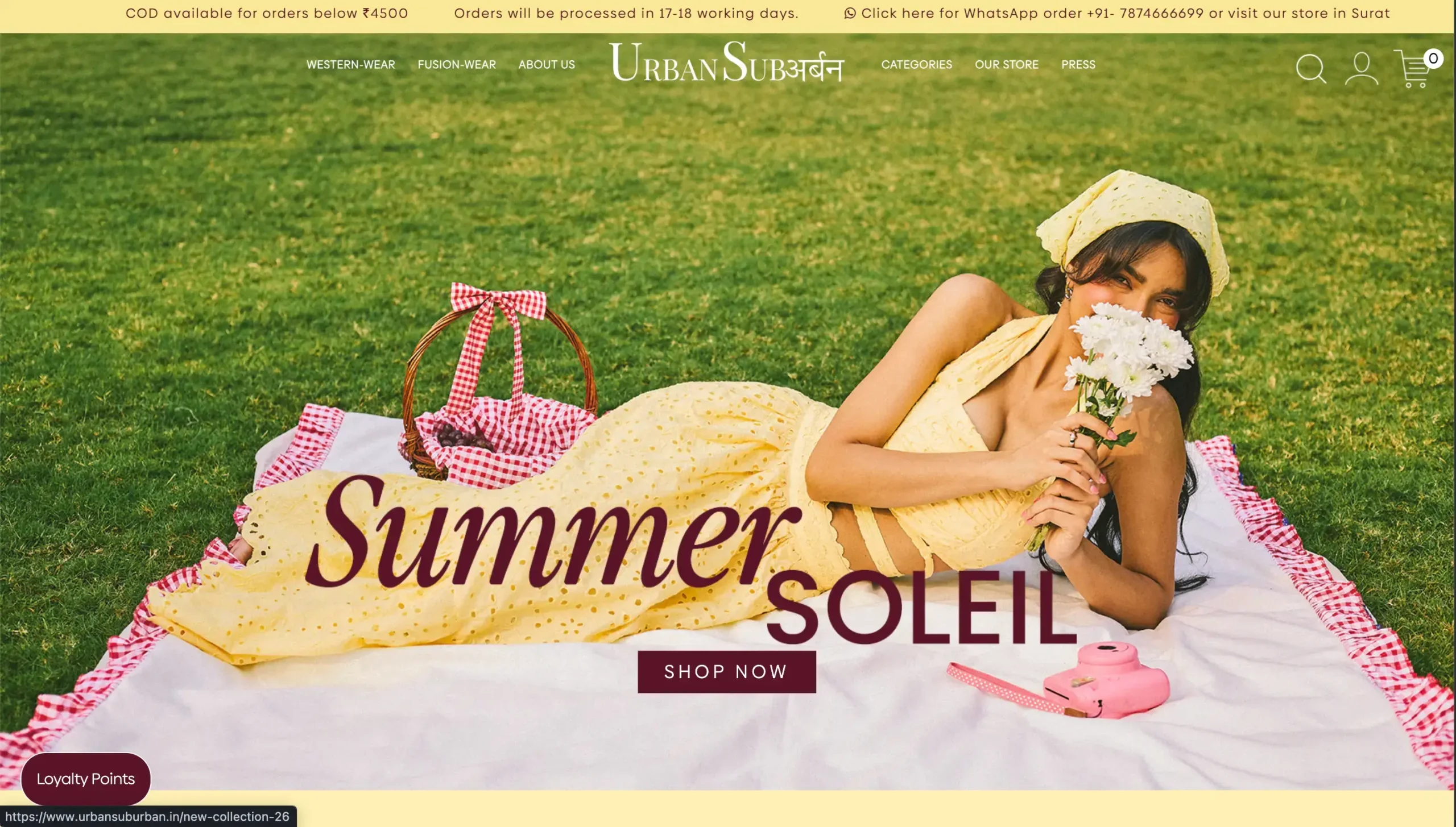 Urban Suburban website preview